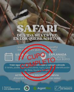 AGENDA DEL FINDE: VIERNES 31 DE JULIO AL DOMINGO 02 DE AGOSTO