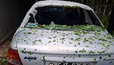 Unquillo sufrió un intenso granizo que dejó destrozos, cortes de luz y aves muertas - Telefe Córdoba