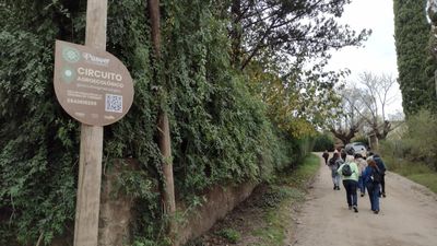 CAMINO DE ARTESANOS: CONOCÉ TALLERES Y ESPACIOS DE PRODUCCIÓN UNQUILLENSES