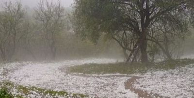 Fuerte tormenta en Córdoba: cayó granizo del tamaño de una pelota de golf - El Litoral